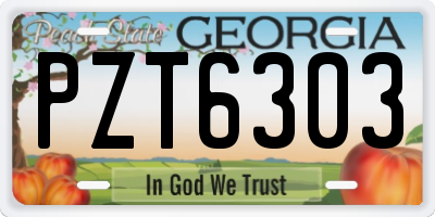 GA license plate PZT6303