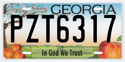 GA license plate PZT6317