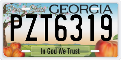 GA license plate PZT6319