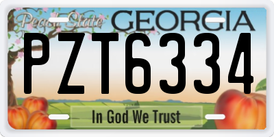 GA license plate PZT6334