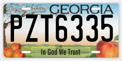 GA license plate PZT6335
