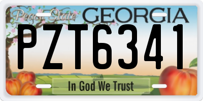 GA license plate PZT6341
