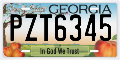 GA license plate PZT6345