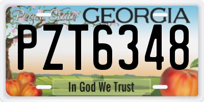 GA license plate PZT6348