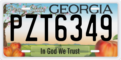GA license plate PZT6349