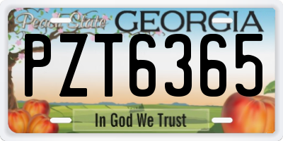 GA license plate PZT6365