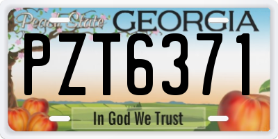 GA license plate PZT6371