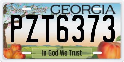 GA license plate PZT6373