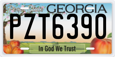 GA license plate PZT6390