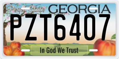 GA license plate PZT6407