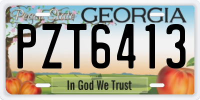 GA license plate PZT6413