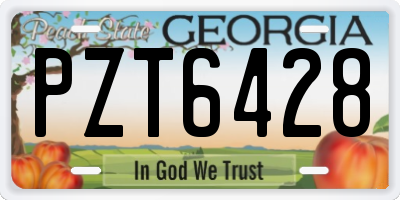 GA license plate PZT6428