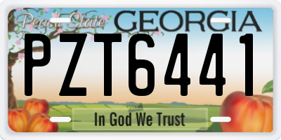 GA license plate PZT6441