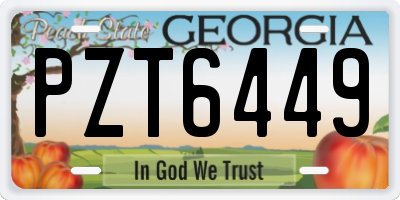 GA license plate PZT6449