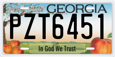 GA license plate PZT6451