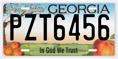 GA license plate PZT6456