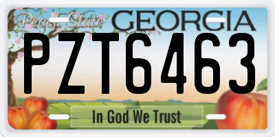 GA license plate PZT6463