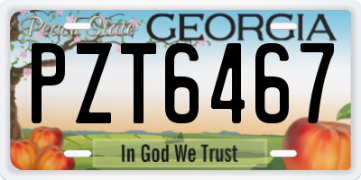 GA license plate PZT6467