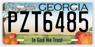 GA license plate PZT6485