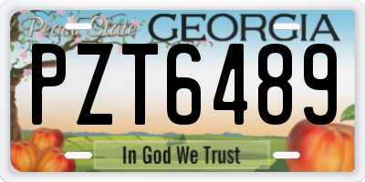 GA license plate PZT6489