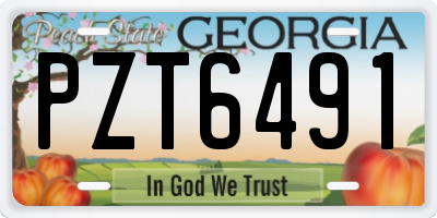 GA license plate PZT6491