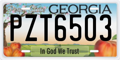 GA license plate PZT6503