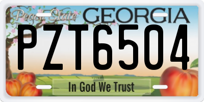 GA license plate PZT6504