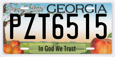 GA license plate PZT6515