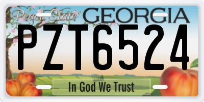 GA license plate PZT6524