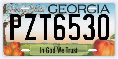 GA license plate PZT6530