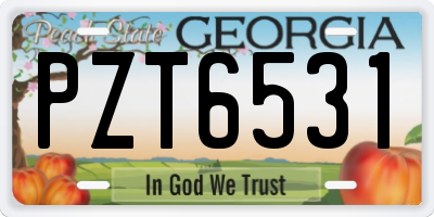 GA license plate PZT6531