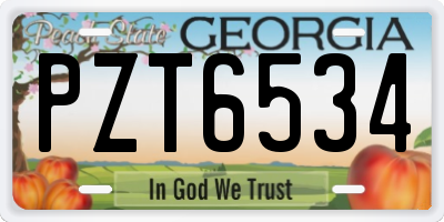 GA license plate PZT6534