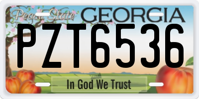 GA license plate PZT6536