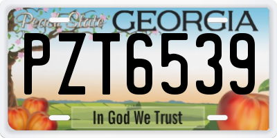 GA license plate PZT6539