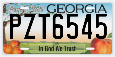 GA license plate PZT6545