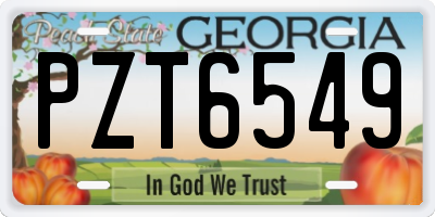 GA license plate PZT6549
