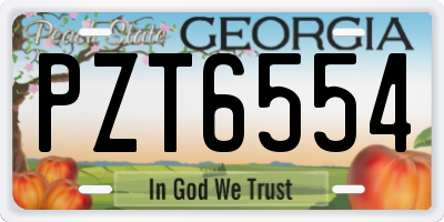 GA license plate PZT6554