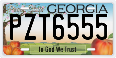 GA license plate PZT6555