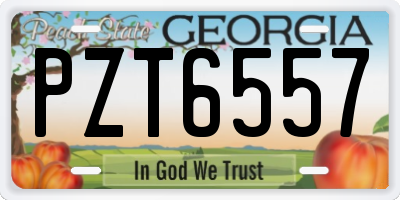 GA license plate PZT6557