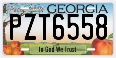 GA license plate PZT6558