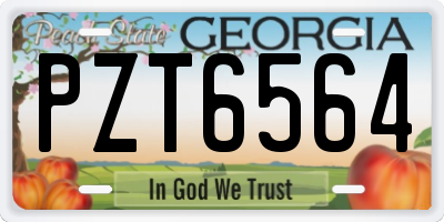 GA license plate PZT6564
