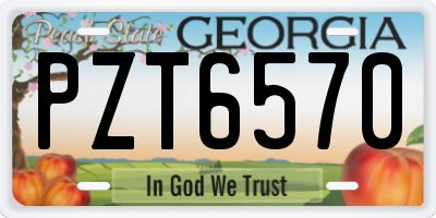 GA license plate PZT6570