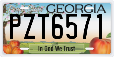 GA license plate PZT6571