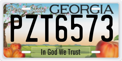GA license plate PZT6573