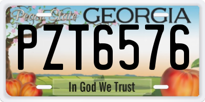 GA license plate PZT6576