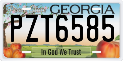 GA license plate PZT6585