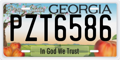 GA license plate PZT6586