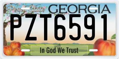 GA license plate PZT6591