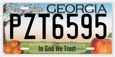 GA license plate PZT6595