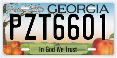GA license plate PZT6601